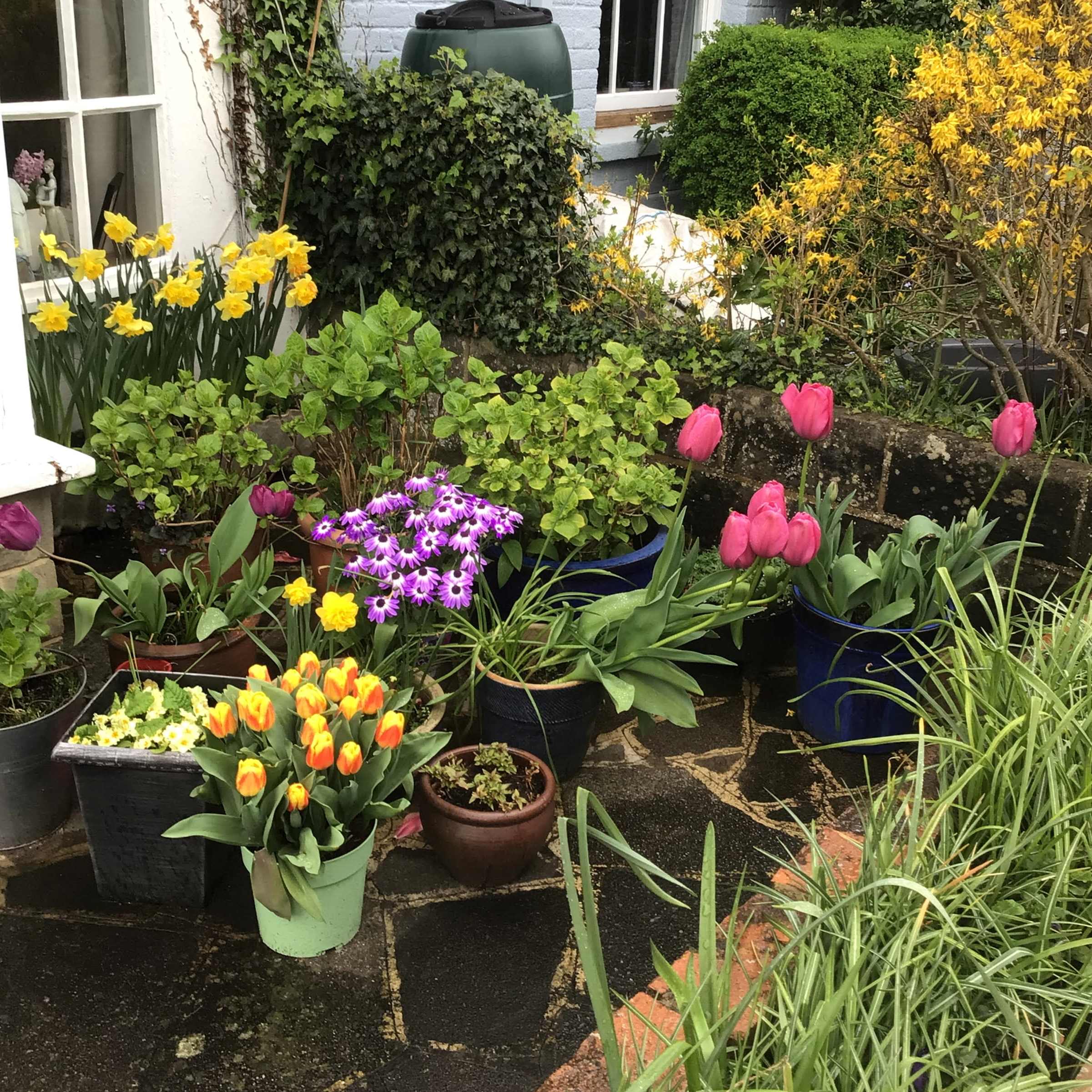 11 Hunts Common Final Resized