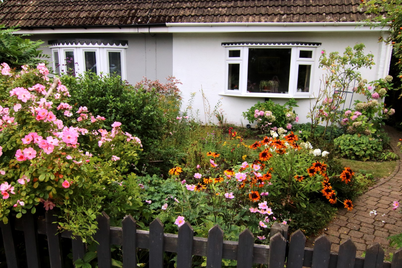 Little Apple Phoenix Green Very Highly Commended