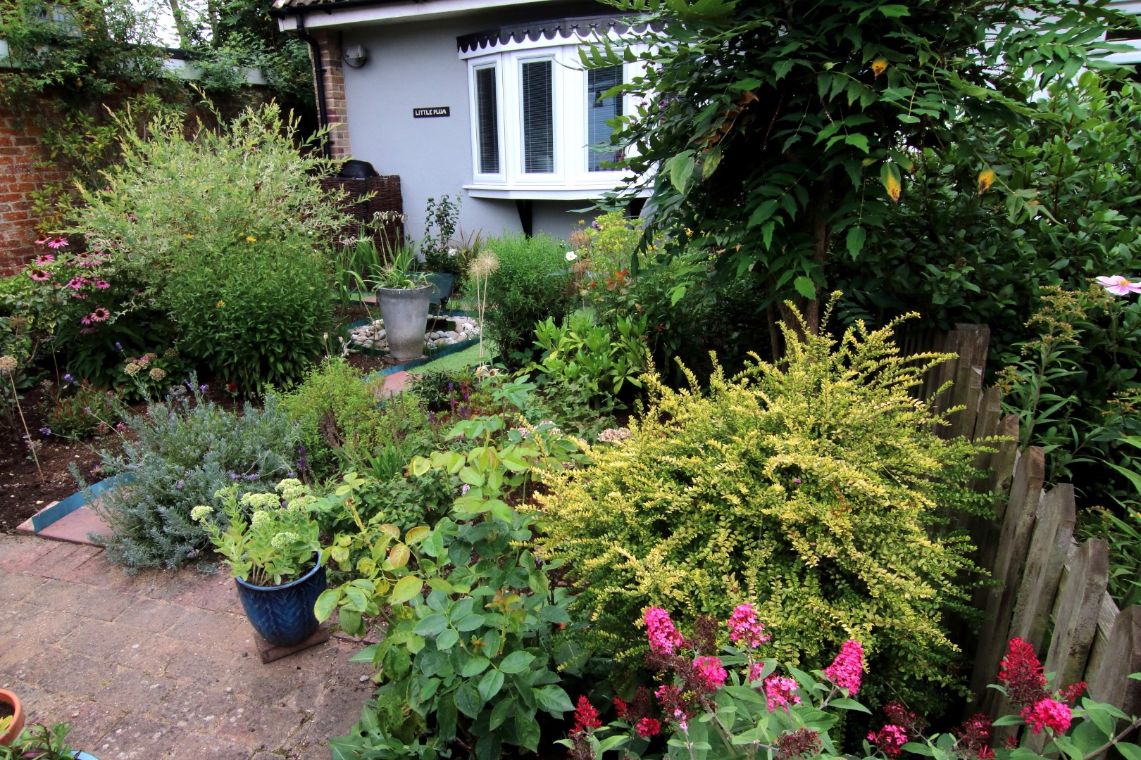 Little Plum Phoenix Green Highly Commended